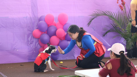 Paws and Support an Important Cause at Fur-Angel Foundation’s K9 and Keiki Carnival